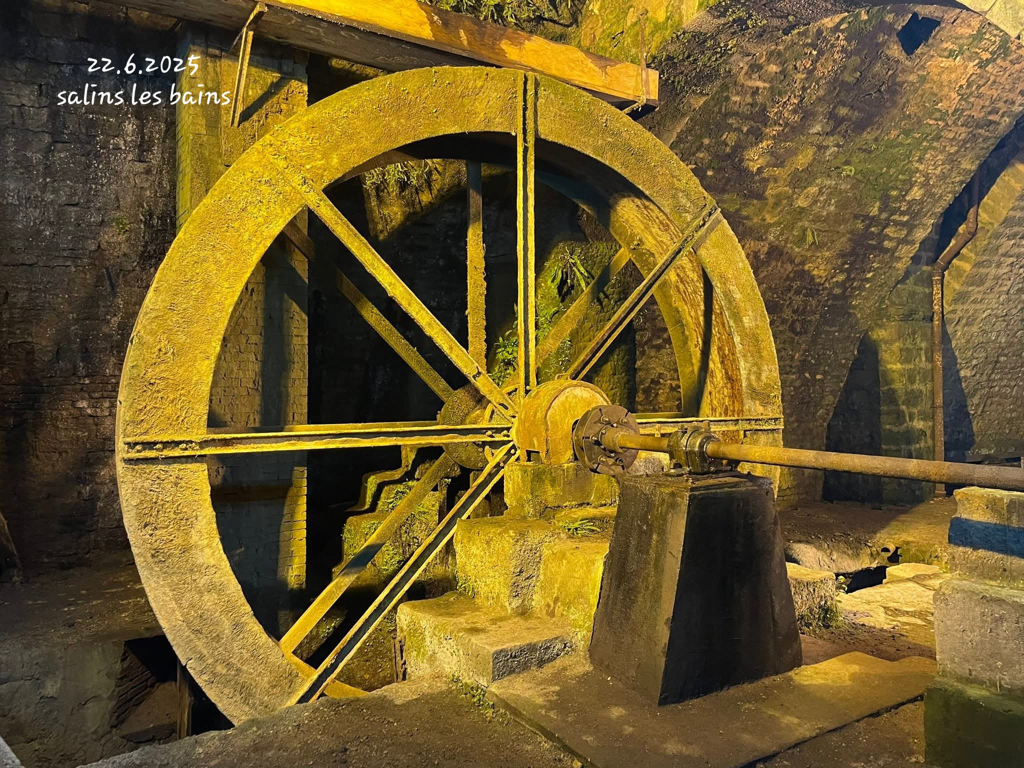 FB_IMG_1750764026415