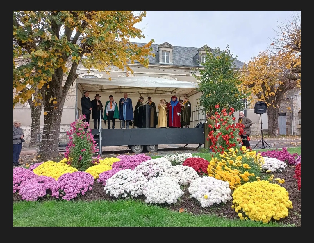 Screenshot_20251118_154710_Chrome