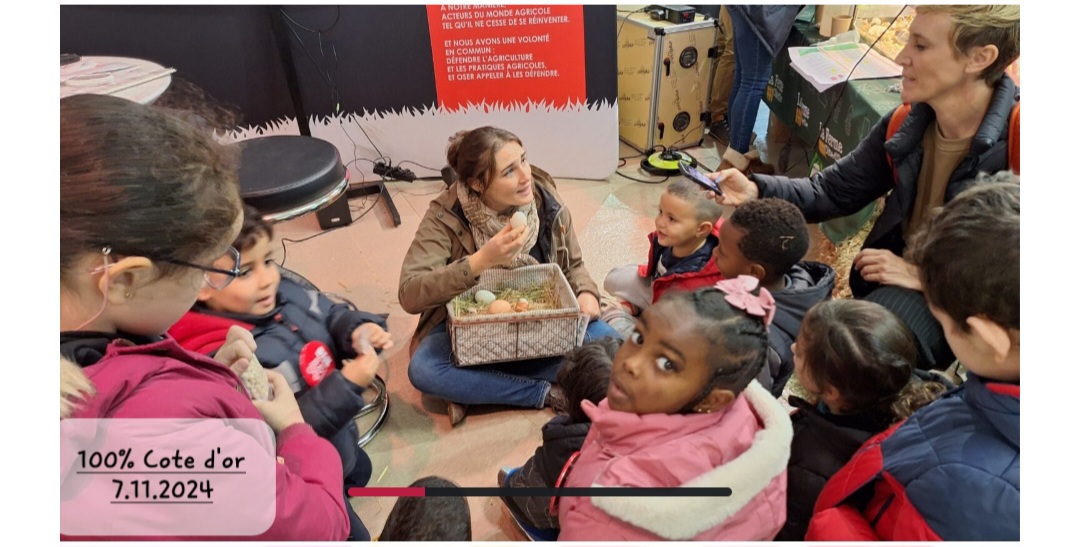 Screenshot_20241108_094513_Chrome