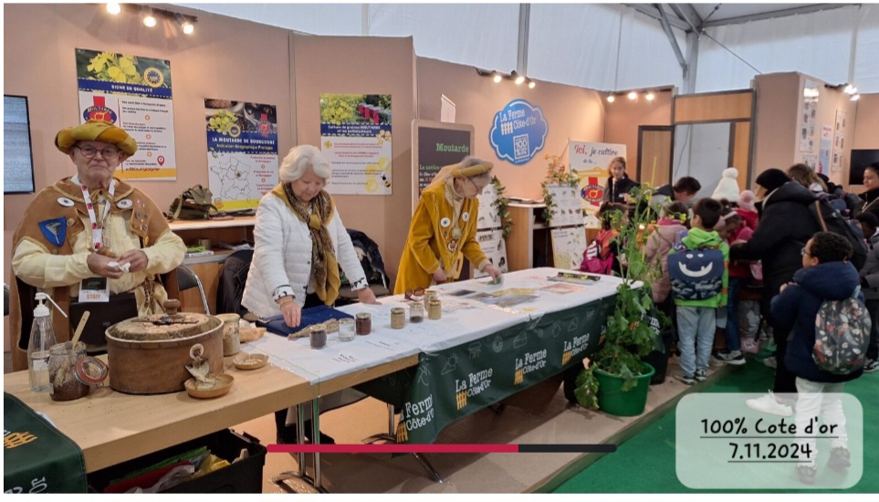 Screenshot_20241108_094552_Chrome