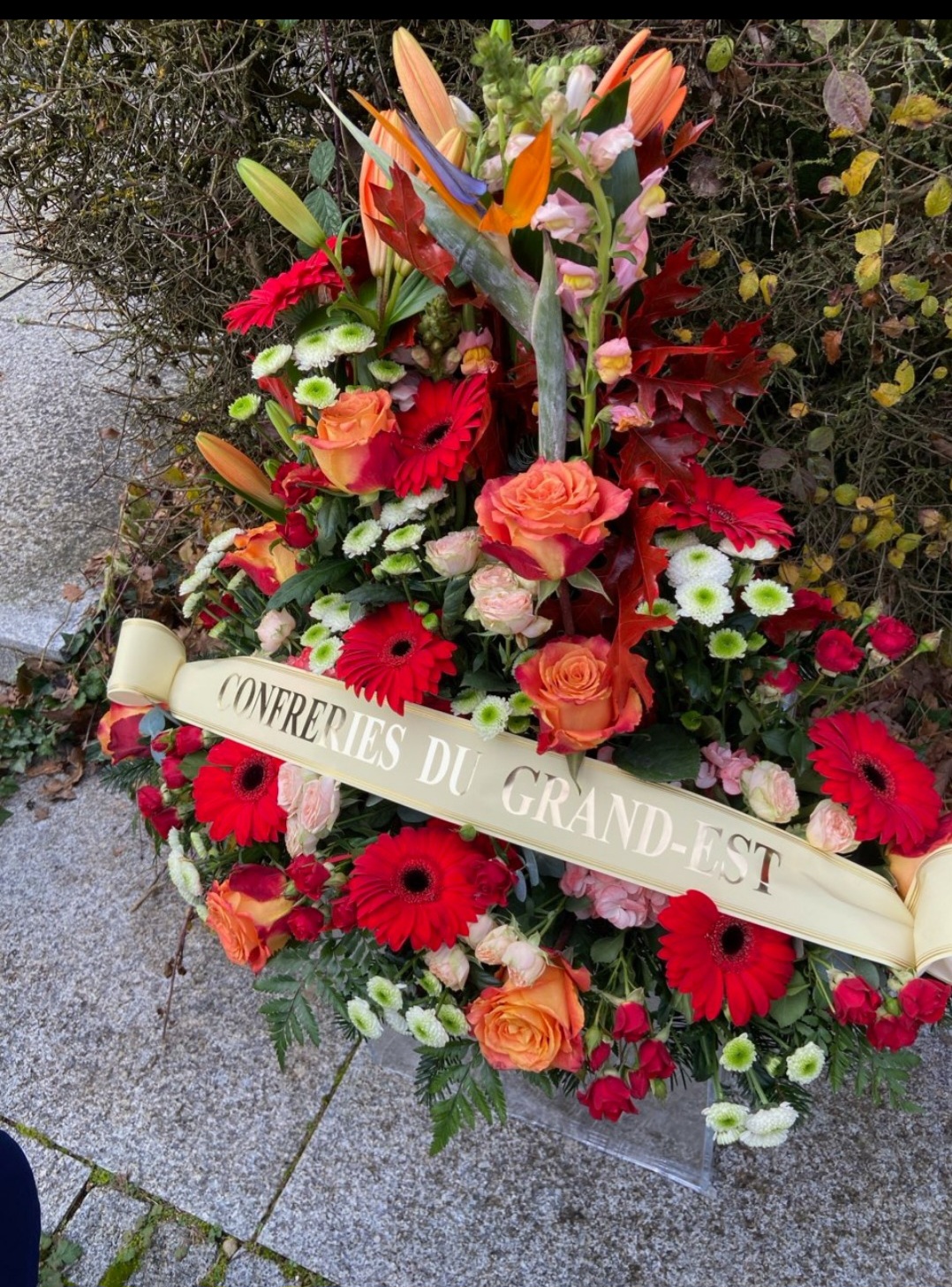 Screenshot_20241215_154724_Messages