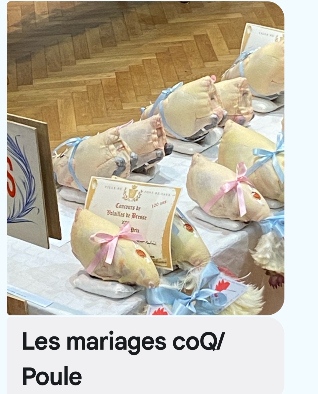 Screenshot_20241216_160339_Messages